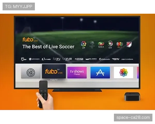 特写：一家专注于防守数据分析的初创公司如何获得多家法甲俱乐部青睐